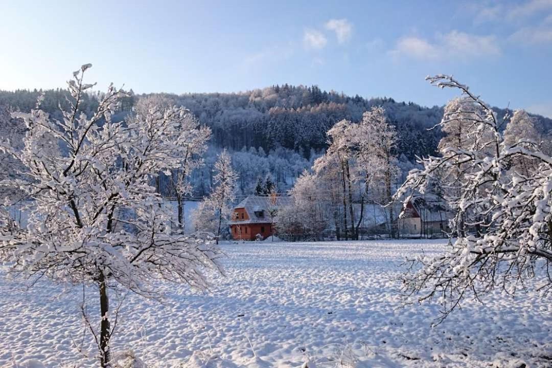 Villa Roubenka Pod Čapím vrchem Velké Losiny Exterior foto